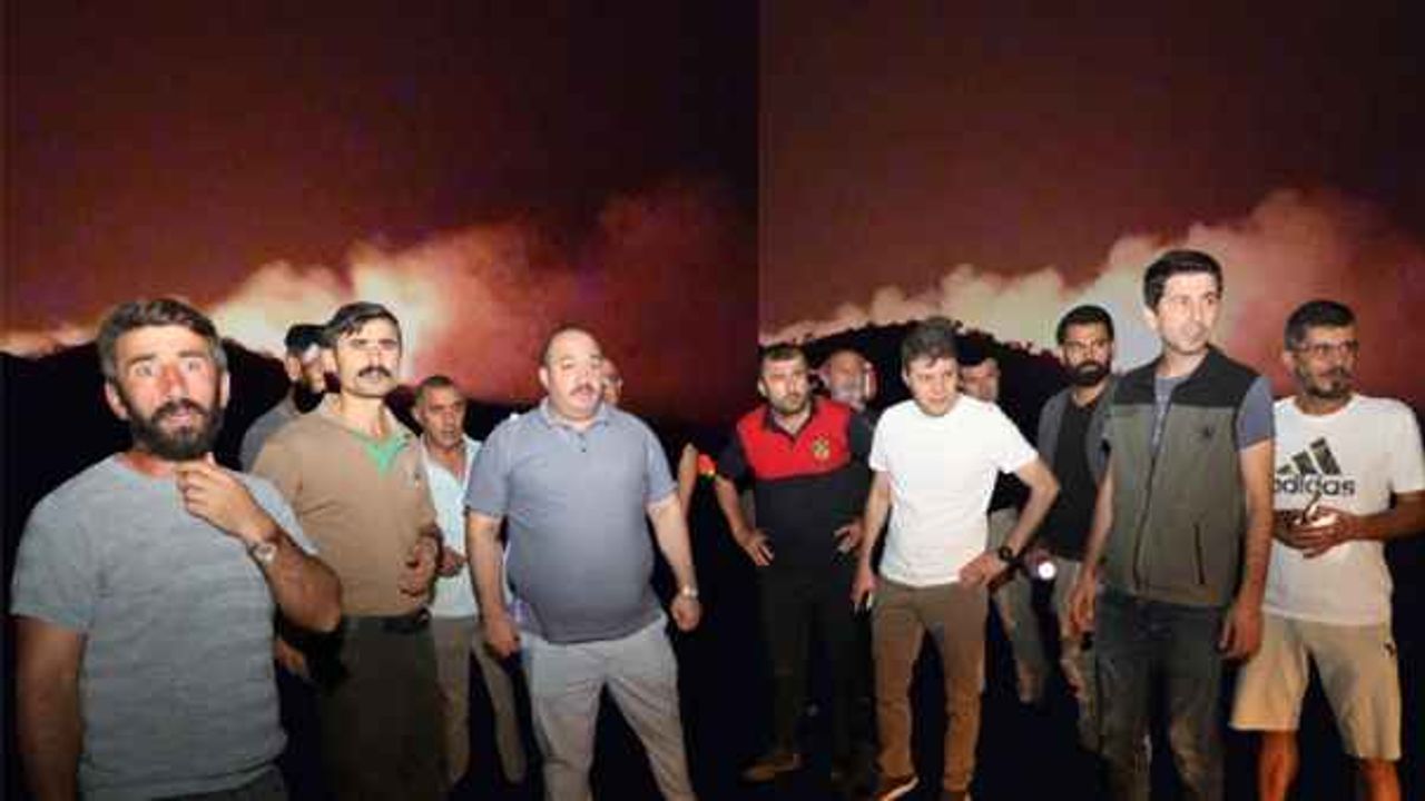 Karacadağ Bal Ormanı'nda yangın: Kaymakam Çengel ve Başkan Ekinci olay yerinde