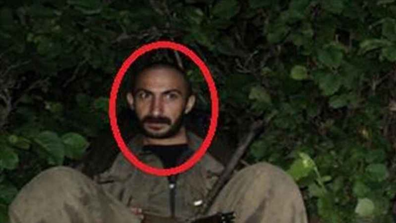 Şirvan Hasan, etkisiz hale getirildi!
