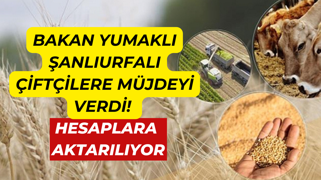 Bakan Yumaklı Şanlıurfalı Çiftçilere Müjdeyi Verdi! Hesaplara Aktarılıyor