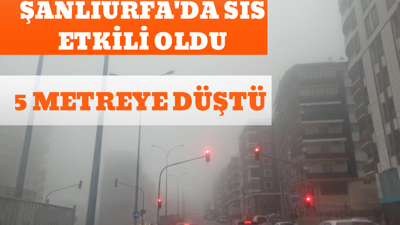 Şanlıurfa'da Sis Etkili Oldu: 5 Metreye Düştü