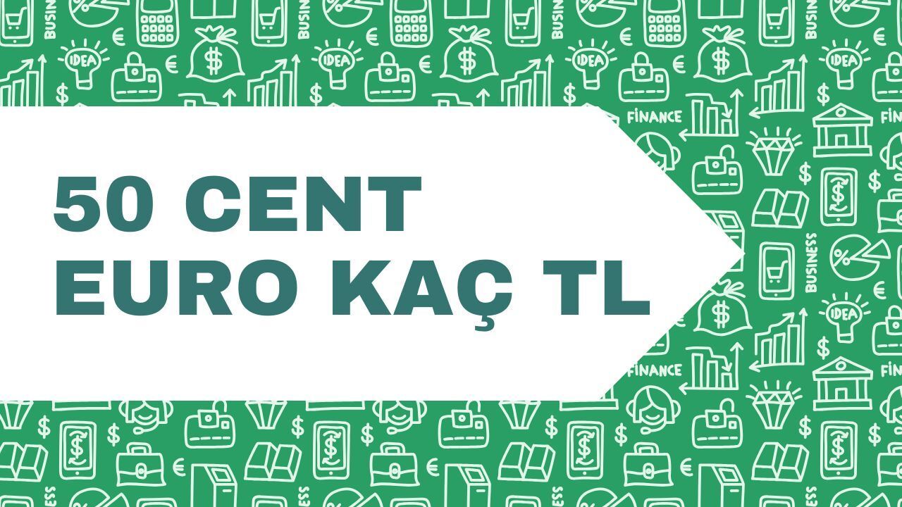 45 bin tl kac euro