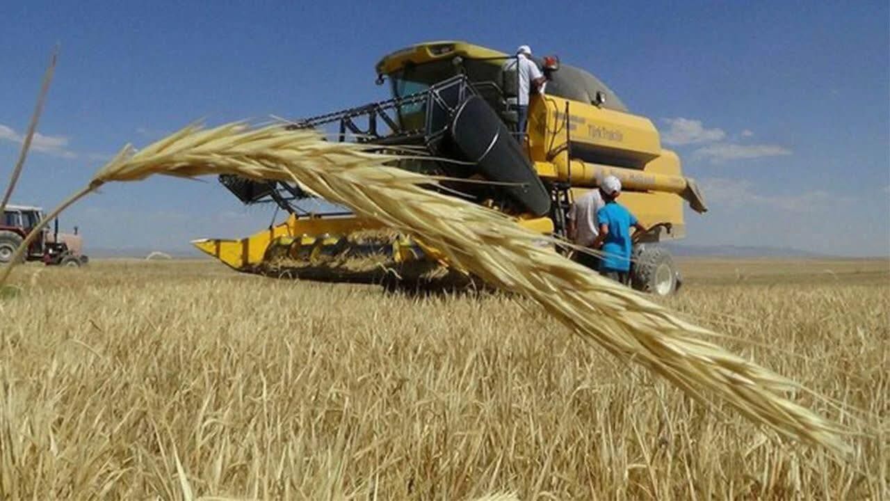 Şanlıurfa’da Hububat Piyasası Karıştı! Fiyatlar Bir Anda Değişti