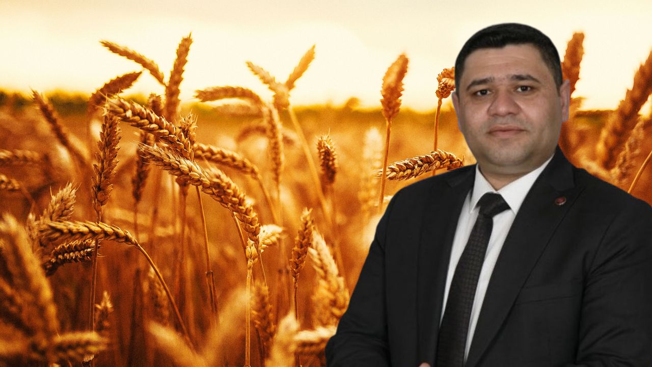 Şanlıurfa’da Hububat Ve Arpa Taşıma Ücreti Belli Oldu