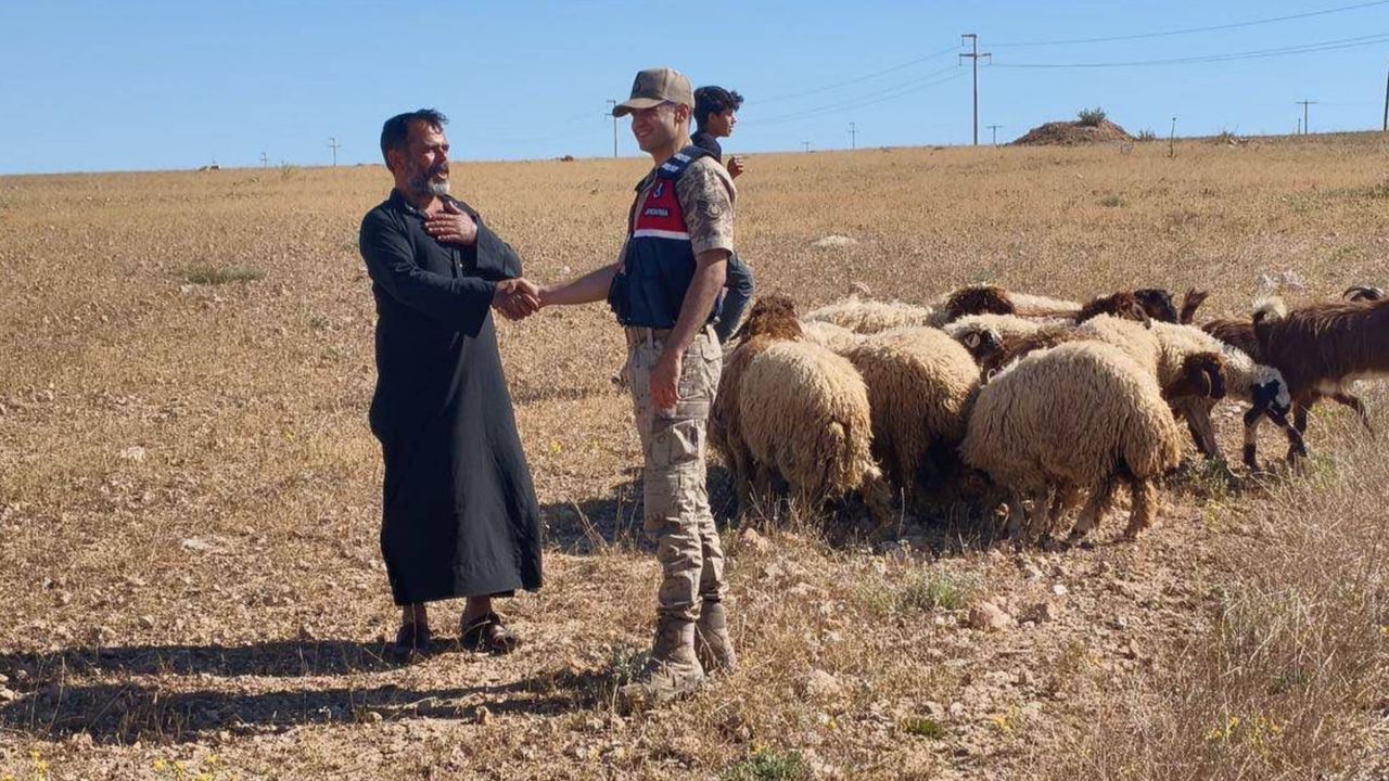 Jandarma Şanlıurfa’da Kaybolan 17 Küçükbaşı Sahibine Teslim Etti