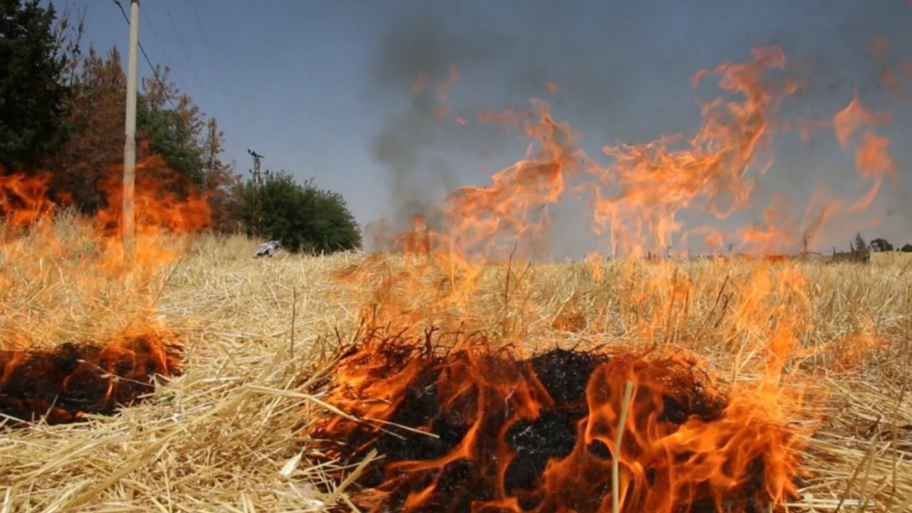 Şanlıurfa’daki Çiftçilere “Anız Yakmayın” Uyarısı