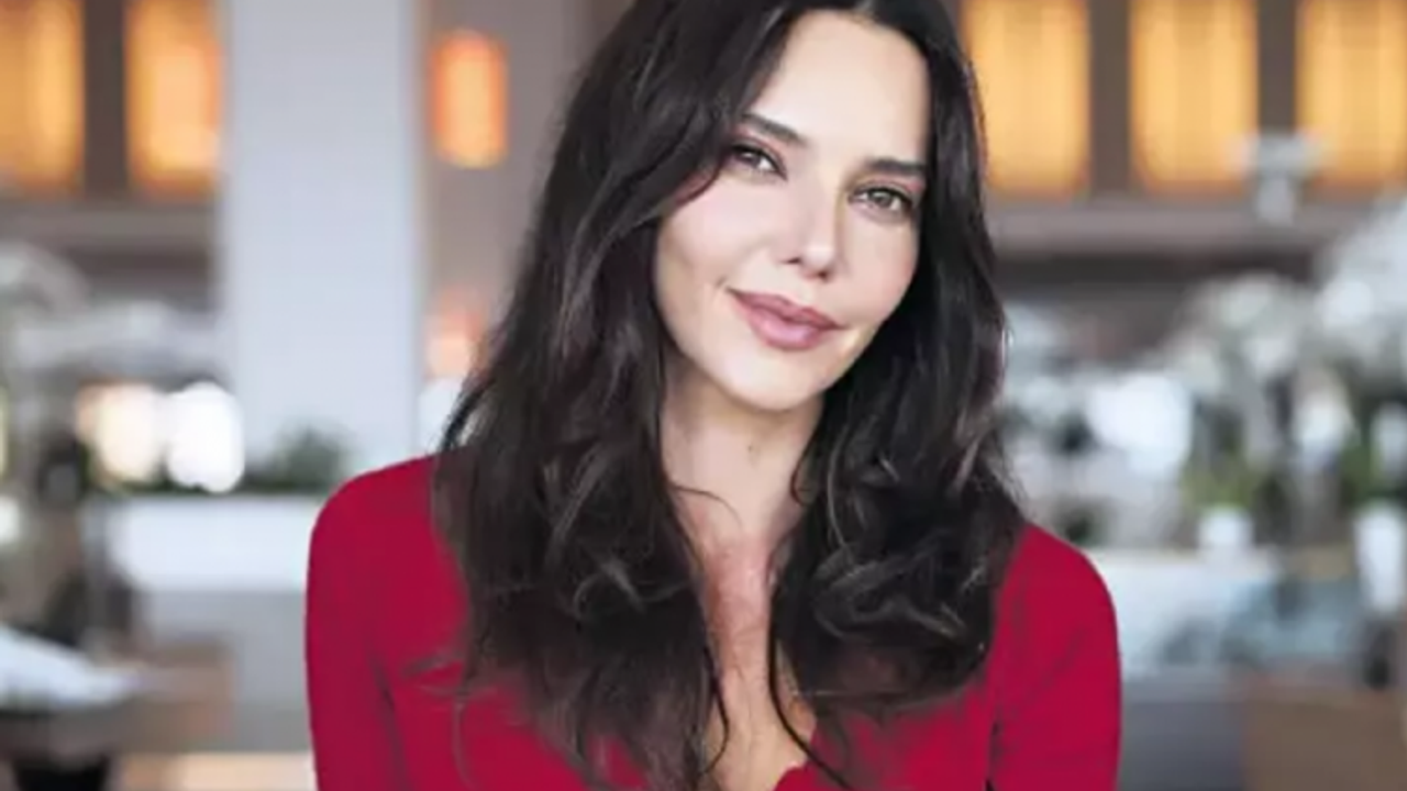Hande Ataizi Kimdir, Nereli, Kaç Yaşında, Evli Mi,