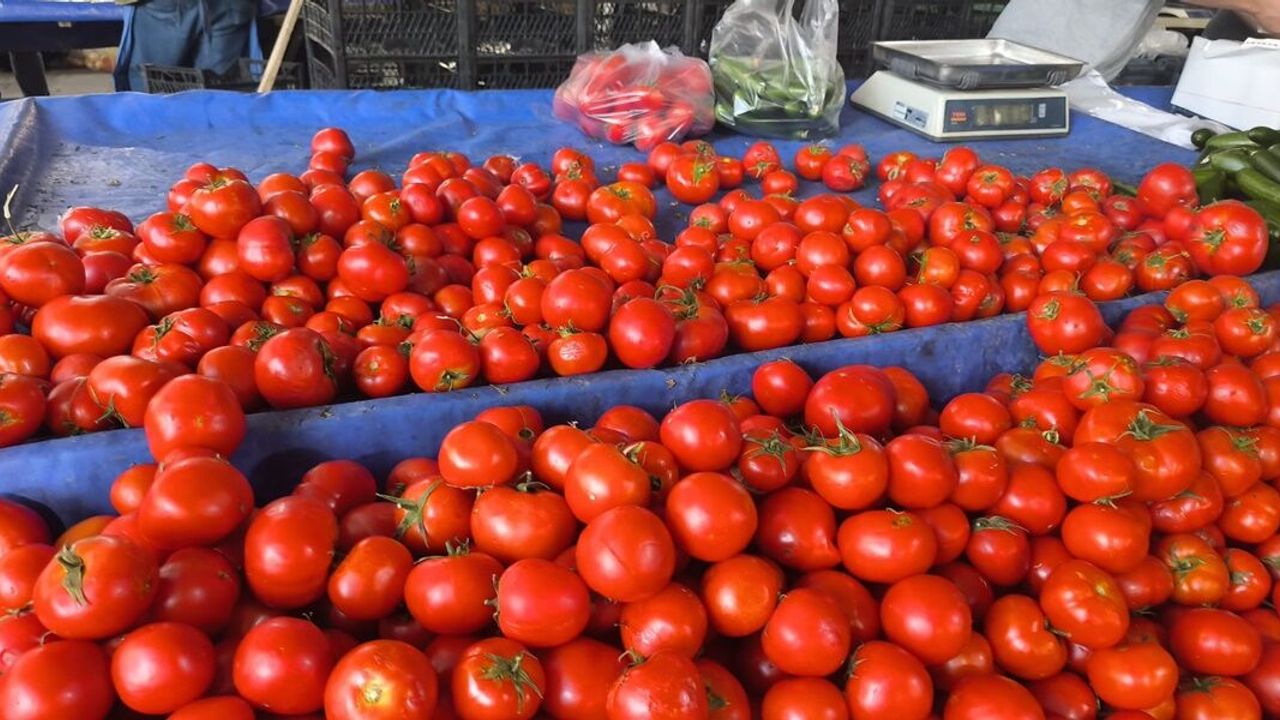 Şanlıurfa’da Fiyat 200 TL’den 10 TL’ye Düştü: Vatandaşlar Şa