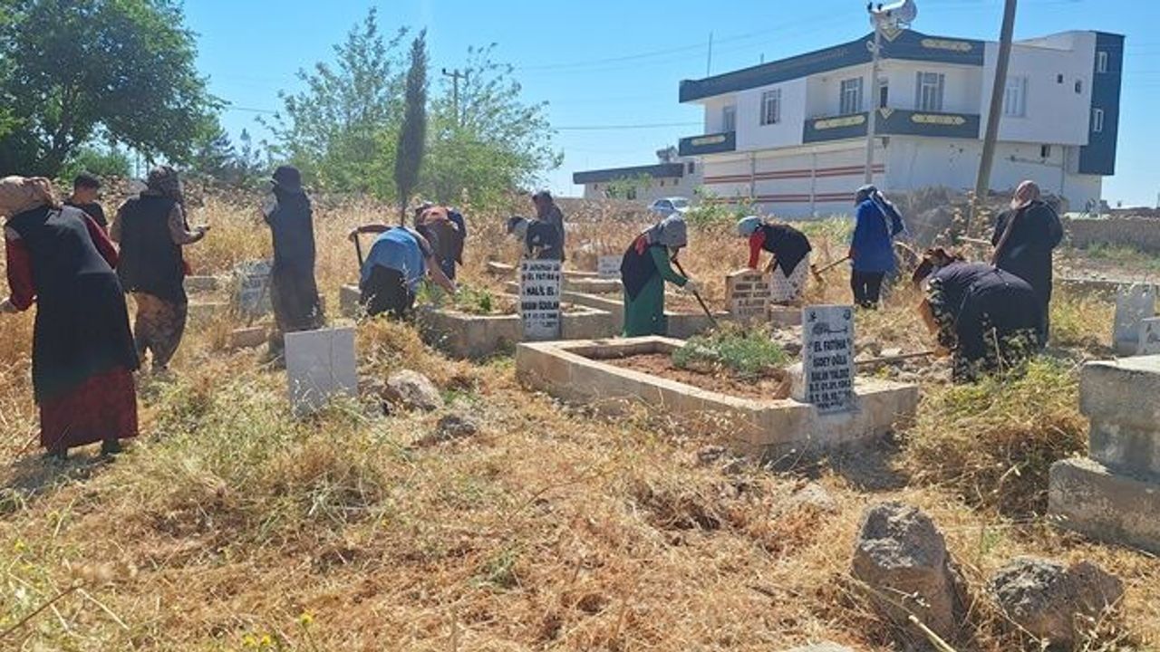 Harran Belediyesi Mezarlıklarda Temizlik Çalışması Başlattı