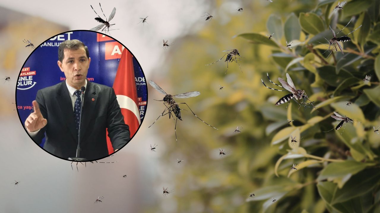 Saadet Partisi'nden Şanlıurfa'daki Sivrisinek Sorununa Çözüm