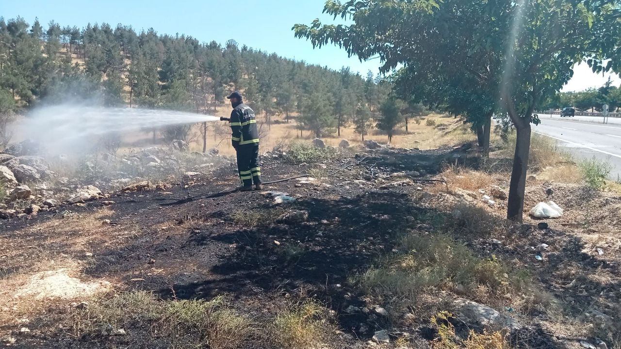 Şanlıurfa'da Çıkan Orman Yangını Kontrol Altına Alındı