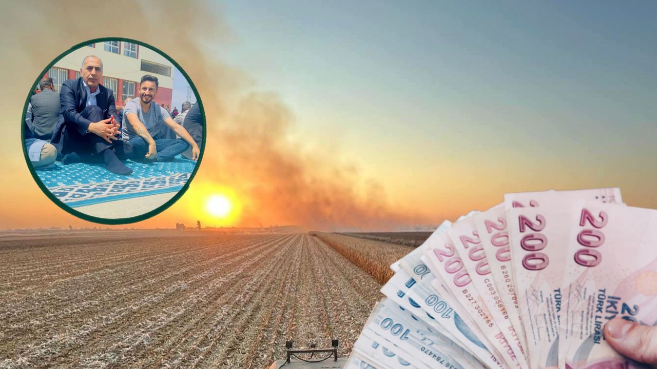 Şanlıurfa’da Arpa ve Buğday Üreticisi Taban Fiyat Bekliyor