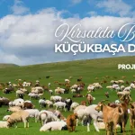 Kırsalda Bereket Küçükbaşa Destek Projesi Sonuçları 2026! Başvuru Sonucu Sorgulama, Asıl Yedek Liste ve 100 Koyun Desteği