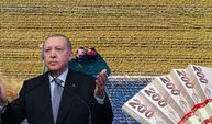 Cumhurbaşkanı Erdoğan Tarımda Milyar Dolarlık Yeni Destek Paketi Açıklandı
