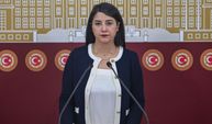 DEM Partili Dilan Kunt Ayan: "Viranşehir Çevre Yolu 8 Yıldır Tamamlanmayı Bekliyor"