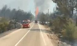 Yangınlar çıkıyor, hayatını kaybedenler artıyor: Şanlıurfa'dan destek!