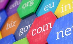 Domain nedir ve nasıl alınır?