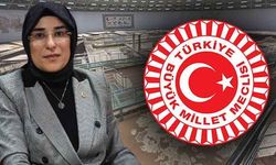 Şanlıurfa Milletvekili Cevahir Asuman Yazmacı TBMM'de Konuştu