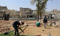 Haliliye Belediyesi yeni park çalışmalarını sürdürüyor (VİDEO)