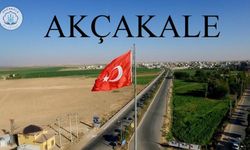 Akçakale'de 2 istifa birden 