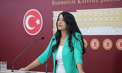Engellilerin Emeklilik ve Sosyal Hakları Meclis Gündeminde