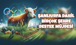 Şanlıurfa Dahil Birçok Şehre Destek Müjdesi