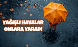 Yağışlı Havalar Onlara Yaradı (VİDEO)