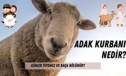 Adak Kurbanı Nedir? Kimler Yiyemez ve Kaça Bölünür?