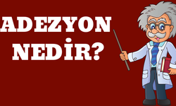 Adezyon Nedir?