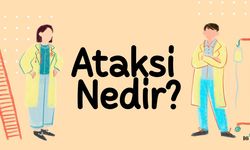 Ataksi Nedir?