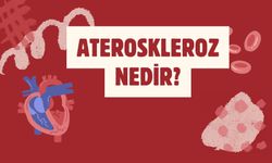 Ateroskleroz Nedir?