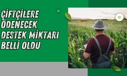 Çiftçilere Ödenecek Destek Miktarı Belli Oldu