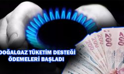 Doğalgaz Tüketim Desteği Ödemeleri Başladı