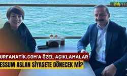 Şanlıurfalı Siyasetçi Geri Dönmeyi Düşünüyor Mu?