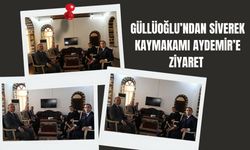 Güllüoğlu’ndan Siverek Kaymakamı Aydemir’e Ziyaret