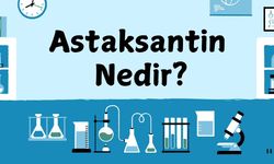 Astaksantin Nedir?