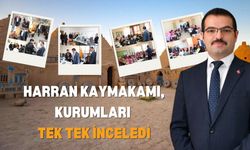 Harran Kaymakamı, Kurumları Tek Tek İnceledi