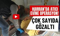 Harran’da Atıcı Evine Operasyon! Çok Sayıda Gözaltı