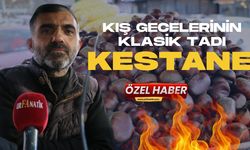 Kış Gecelerinin Klasik Tadı Kestane