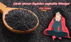 Çörek otunun faydaları saymakla bitmiyor