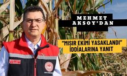 Şanlıurfa’da “Mısır Ekimi Yasaklandı” İddialarına Yanıt