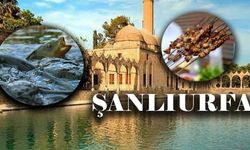 Şanlıurfa'da Zorunlu Hale Getirildi: Bu Detaya Dikkat!