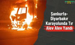 Şanlıurfa-Diyarbakır Karayolunda Tır Alev Alev Yandı