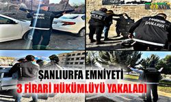 Şanlıurfa Emniyeti 3 firari hükümlüyü yakaladı