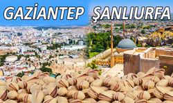 Şanlıurfa ve Gaziantep fıstığı arasındaki fiyat farkı