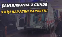 Şanlıurfa’da 2 Günde 9 Kişi Hayatını Kaybetti!