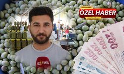 Şanlıurfa’da zeytin fiyatları belli oldu!