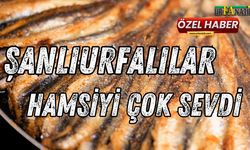 Şanlıurfalılar Hamsiyi Çok Sevdi