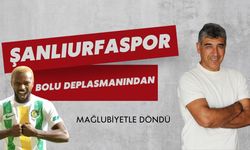 Şanlıurfaspor Deplasmanında Bolu'ya 1-0 Mağlup Oldu