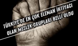 Türkiye’de En Çok Eleman İhtiyacı Olan Meslek Grupları Belli Oldu