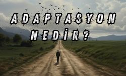 Adaptasyon Nedir?